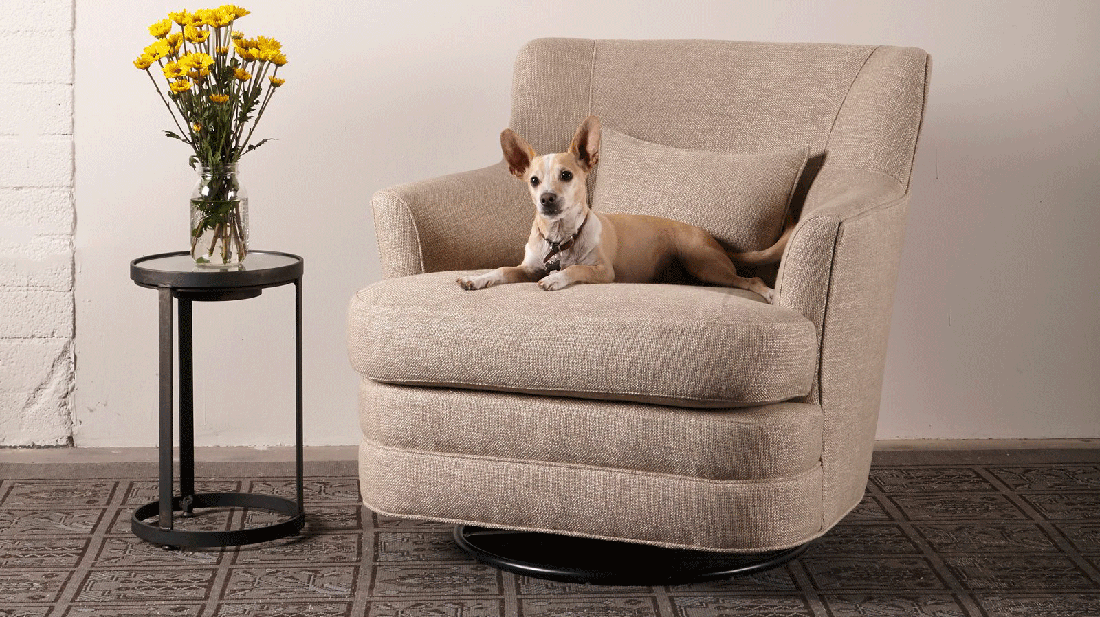 5 Reasons this Magical Fabric is Ideal for Kids and Pets