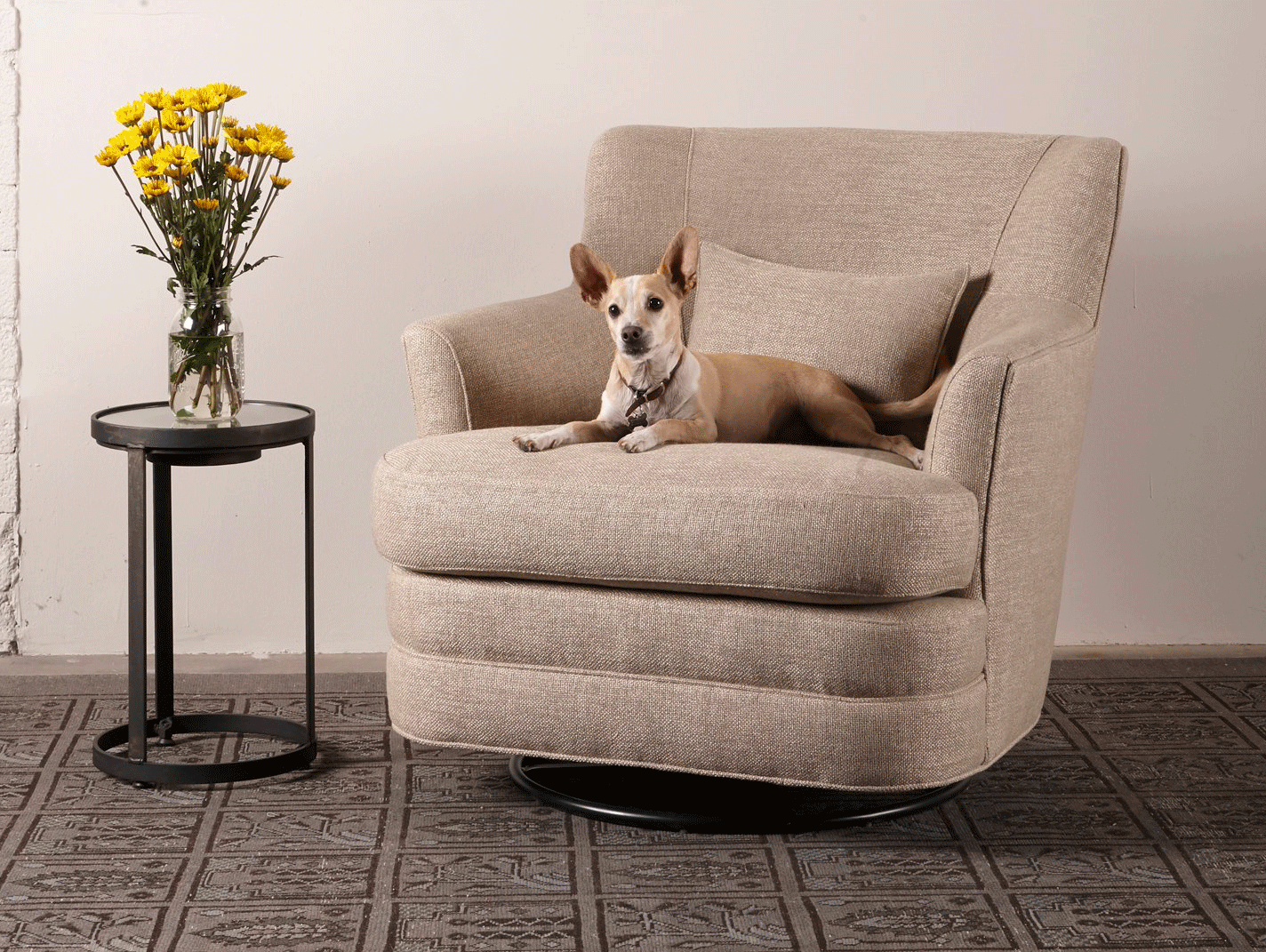 5 Reasons this Magical Fabric is Ideal for Kids and Pets