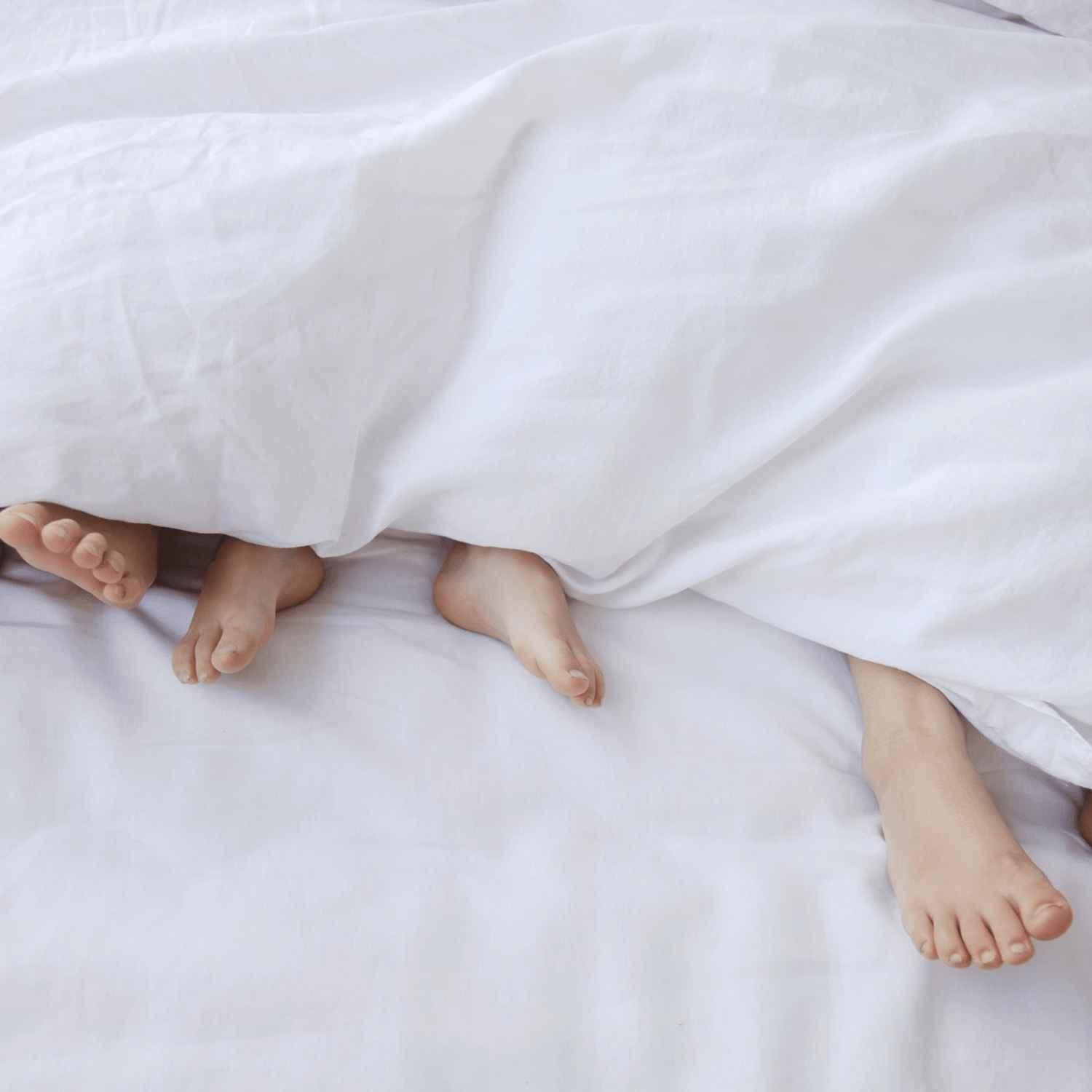 Heritage Fitted Sheet - Urban Natural Home Furnishings