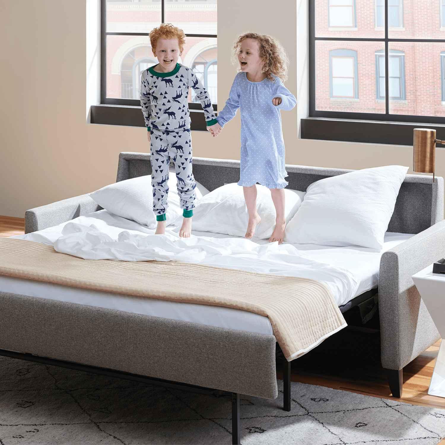 Harris Comfort Sleeper - Urban Natural Home Furnishings
