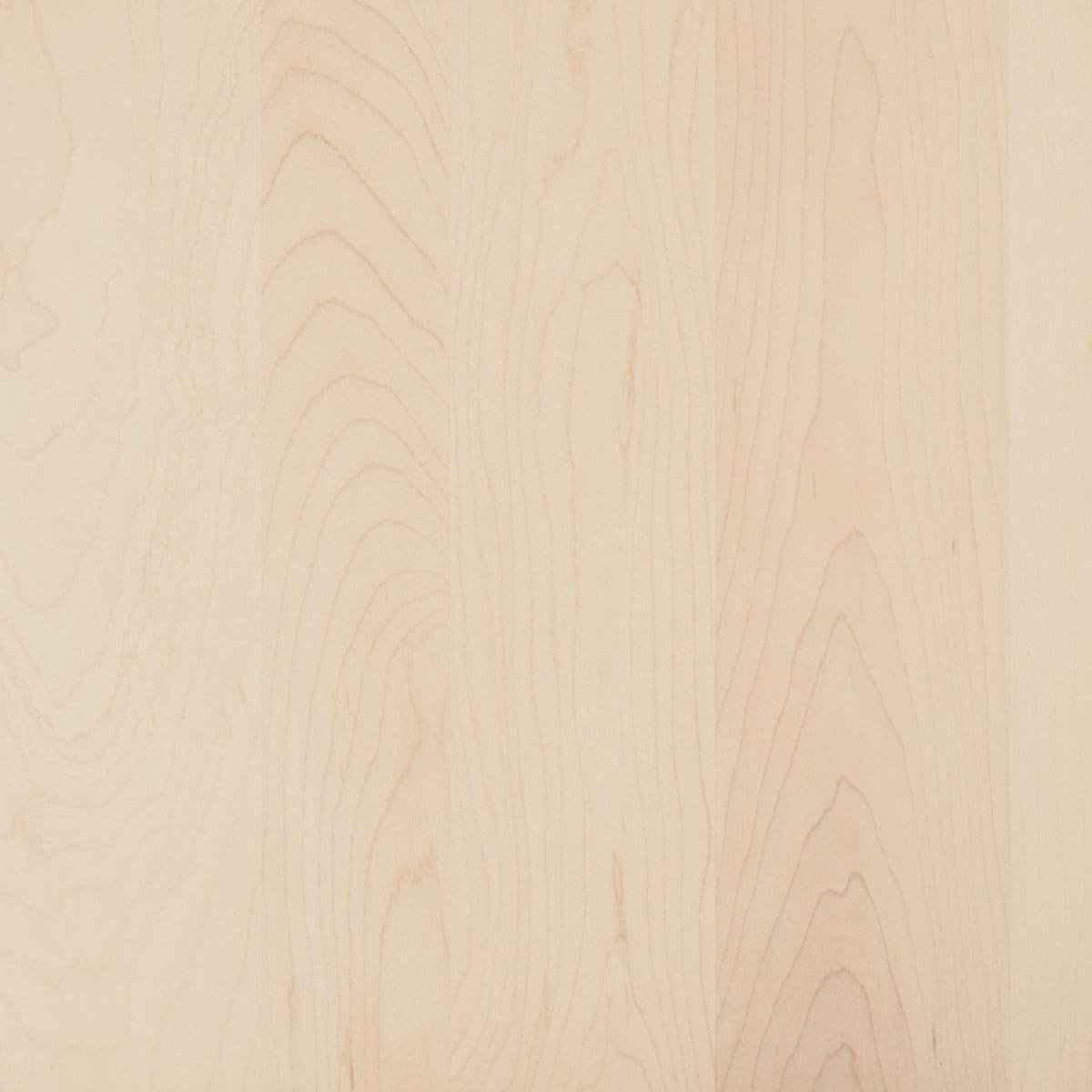 Parchment Maple by Swatches