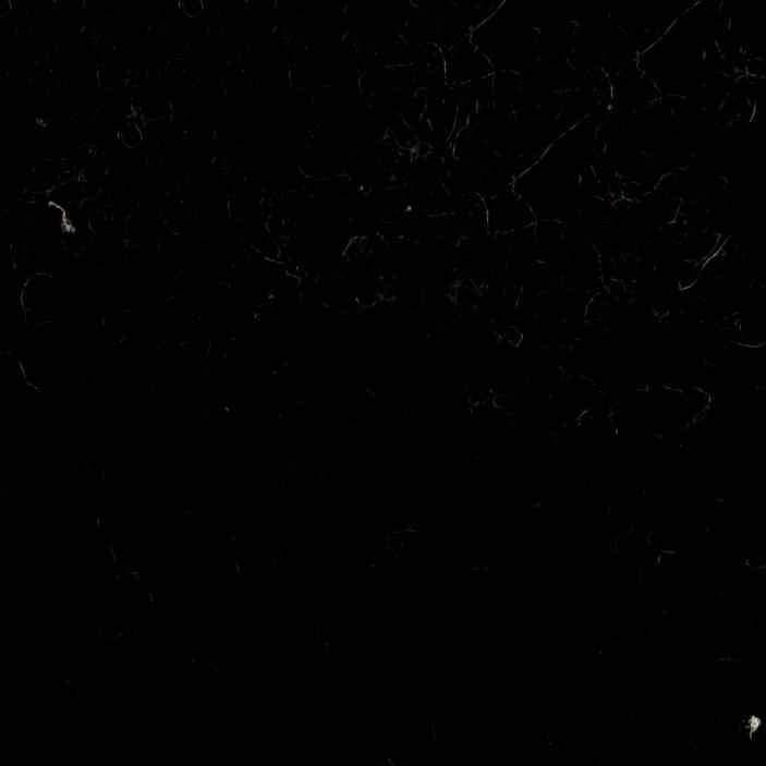 Grade V: Suri Eclipse - Urban Natural Home Furnishings