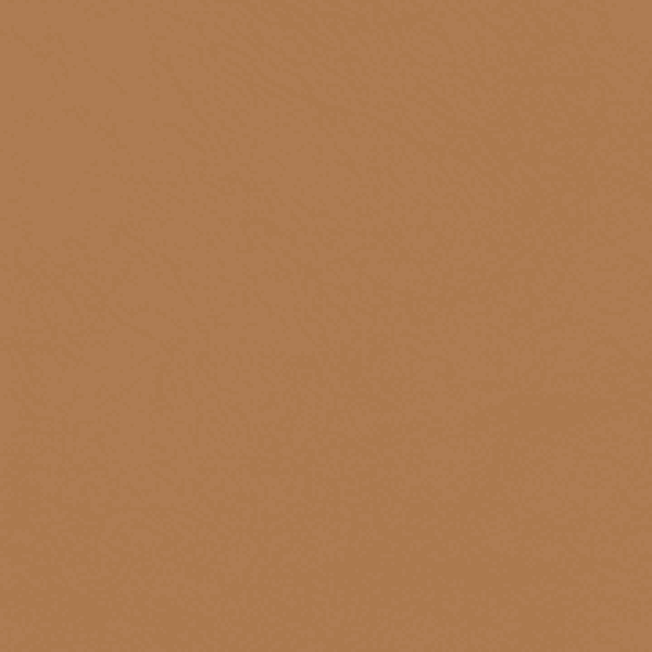 Leather Grade D: Bali Butterscotch - Urban Natural Home Furnishings