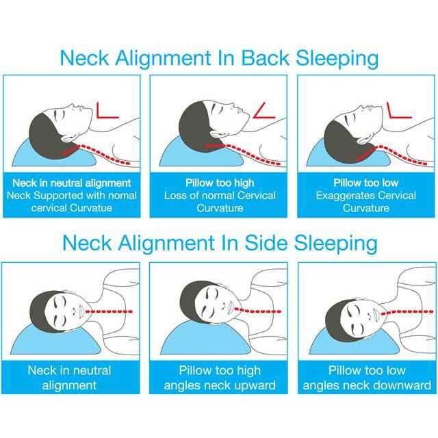 Oxygen Pillow by Urban Natural Home Furnishings