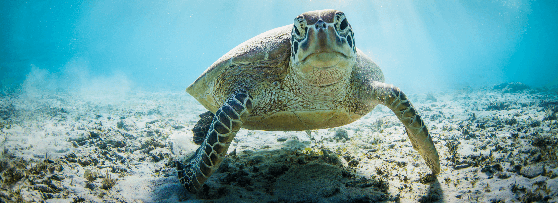 Celebrate Earth Day with Urban Natural