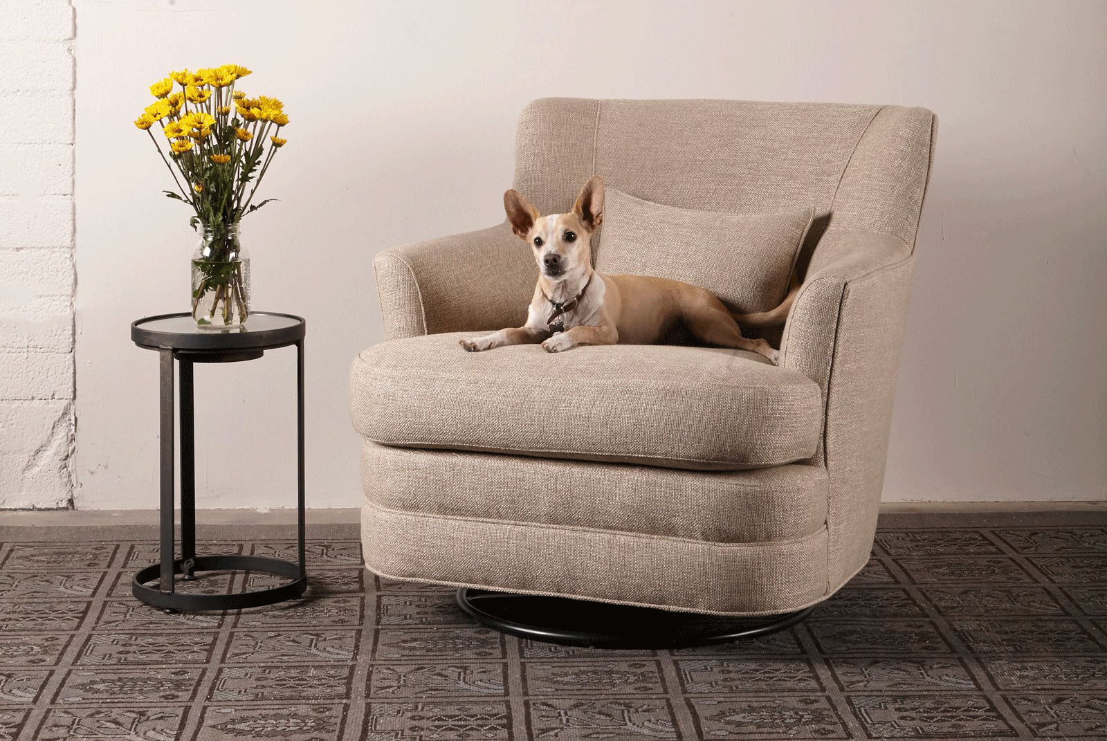 5 Reasons this Magical Fabric is Ideal for Kids and Pets