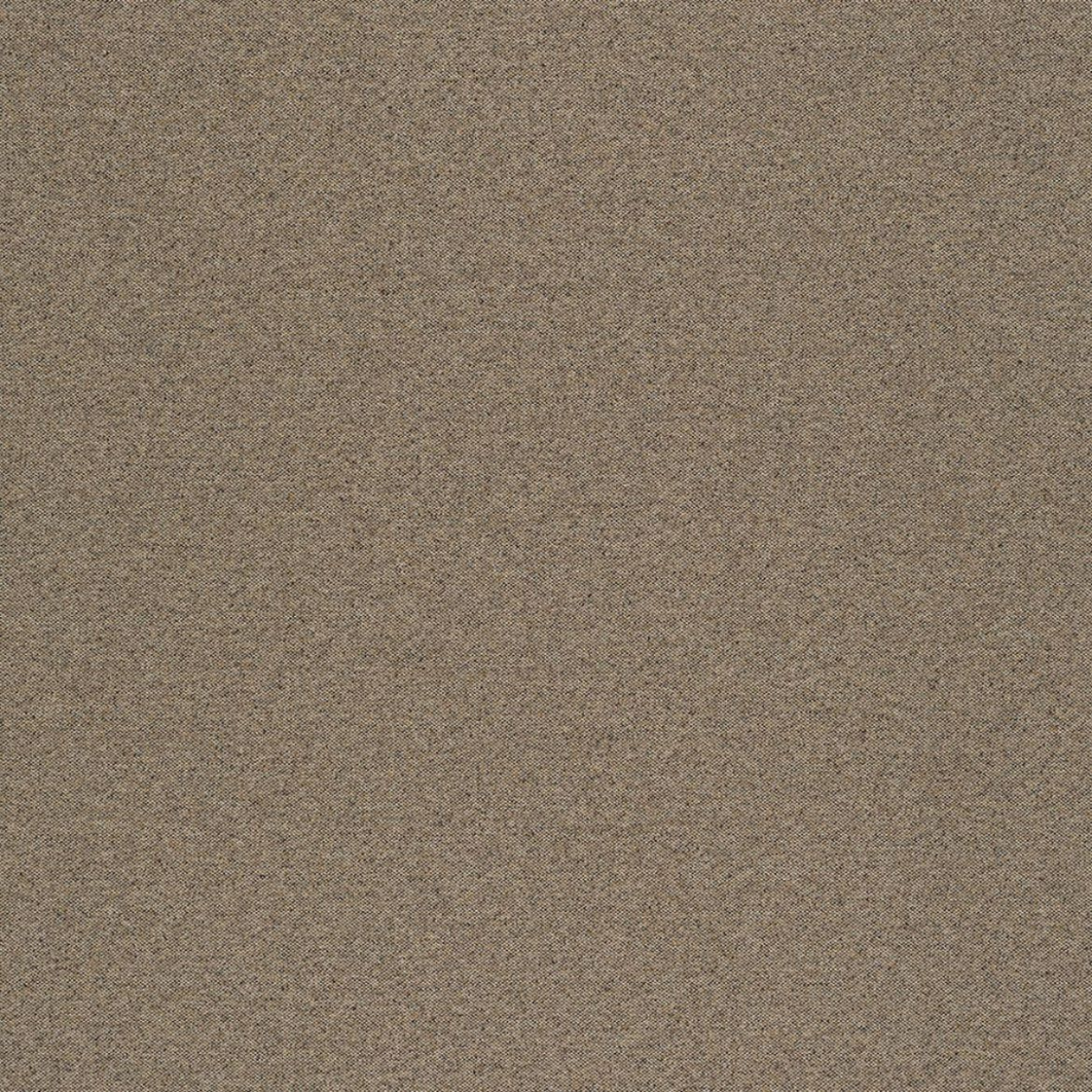 Grade AA: 124CR-67 | Rowe Swatch – Urban Natural Home