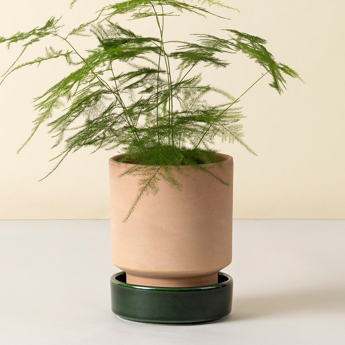 Hoff Raw Rosa/Emerald Green Planter & Saucer  Urban Natural Home