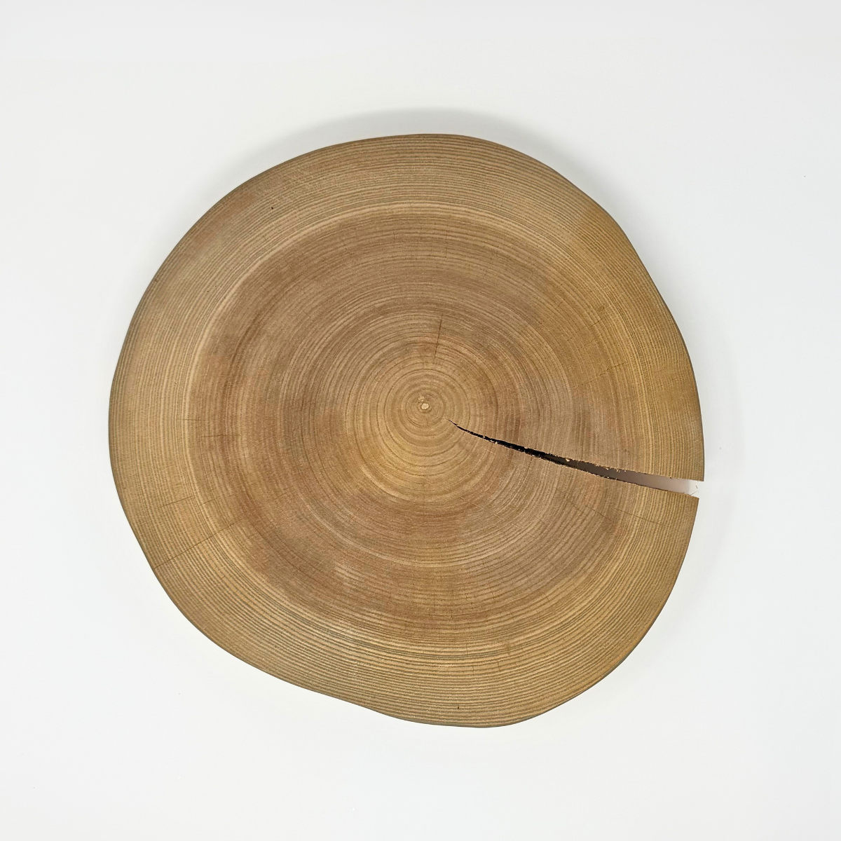 Farmhouse Pottery Ash Wood Slice - Thumbnail 5