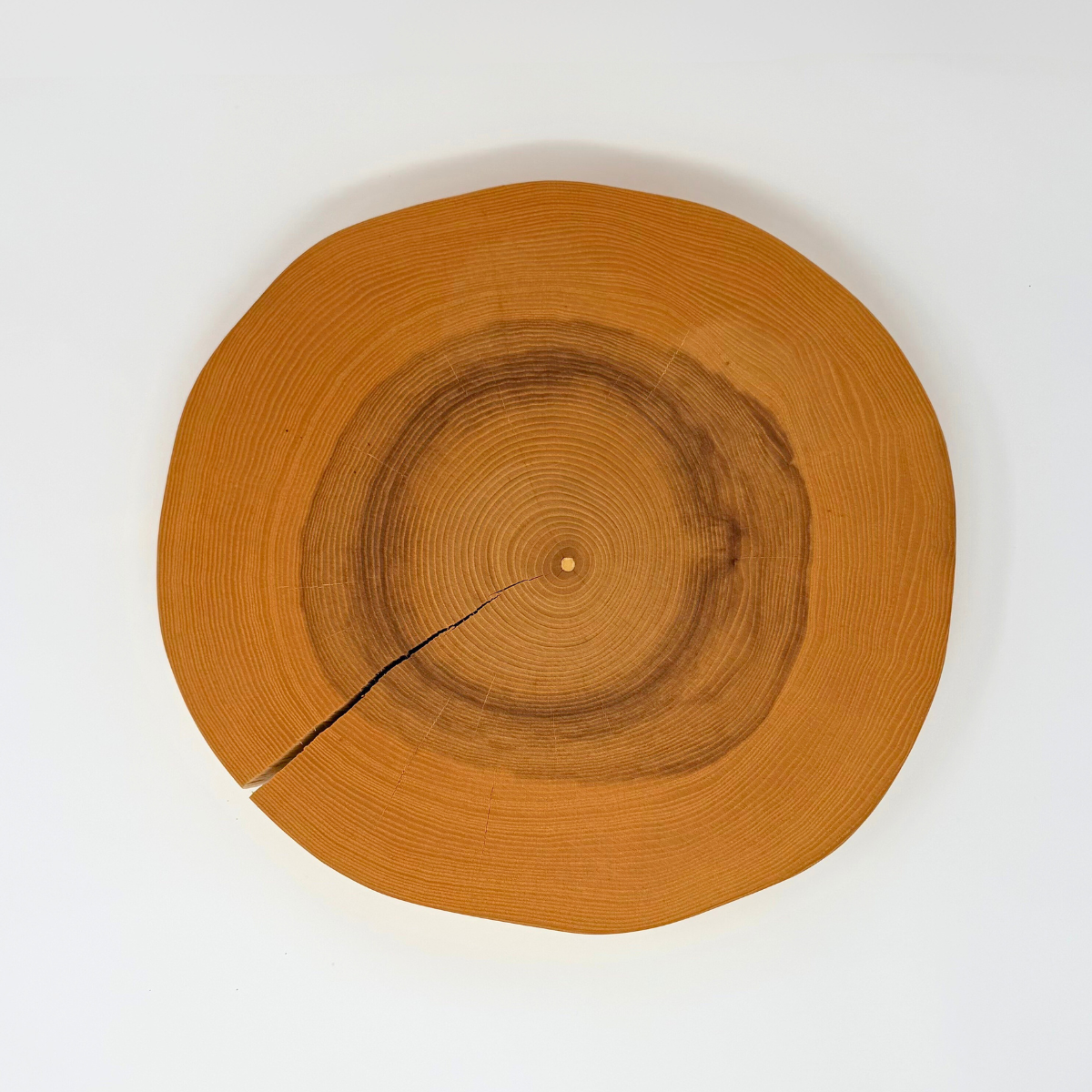 Farmhouse Pottery Wood Slice - Thumbnail 4