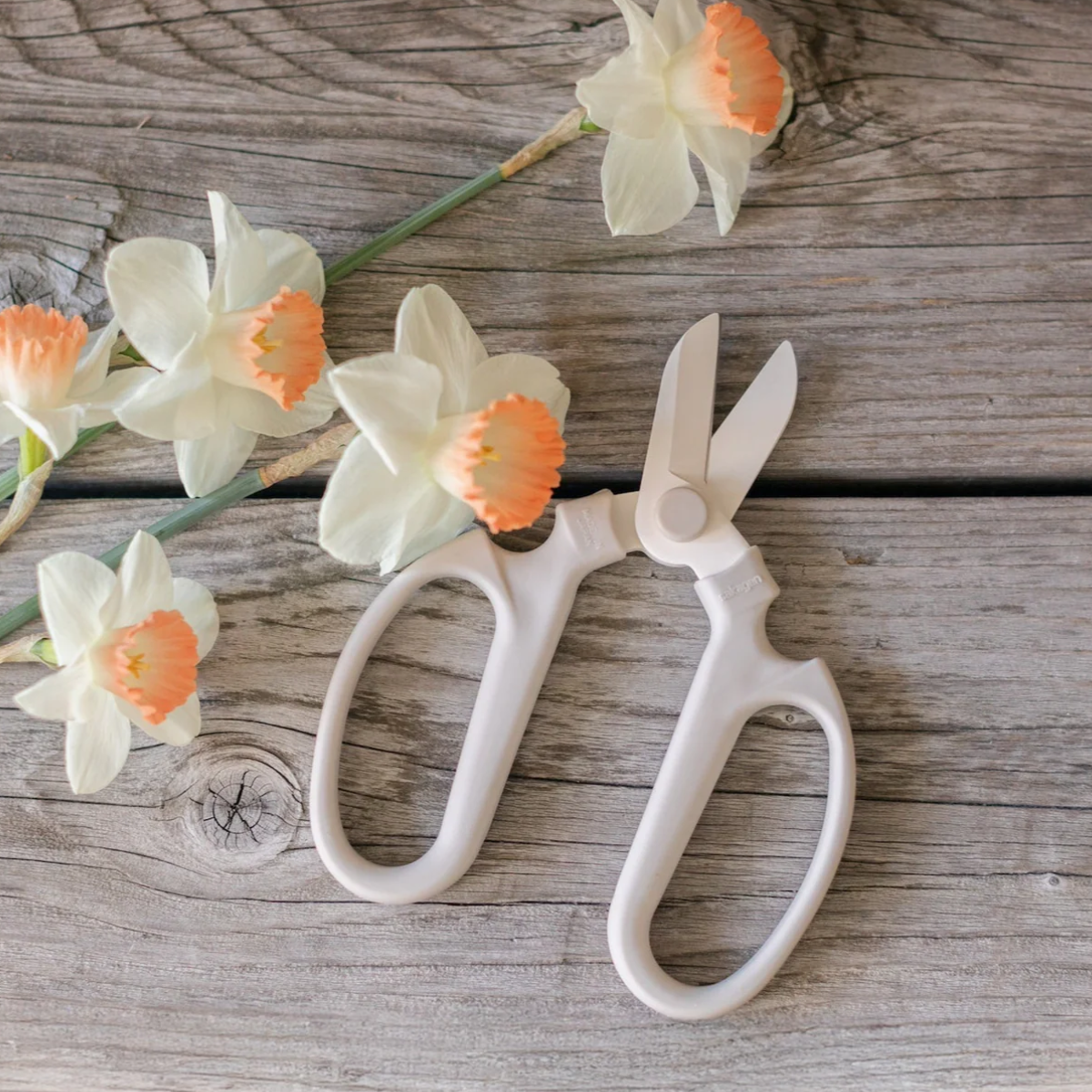 The Floral Society Japanese Floral Clippers - Thumbnail 2
