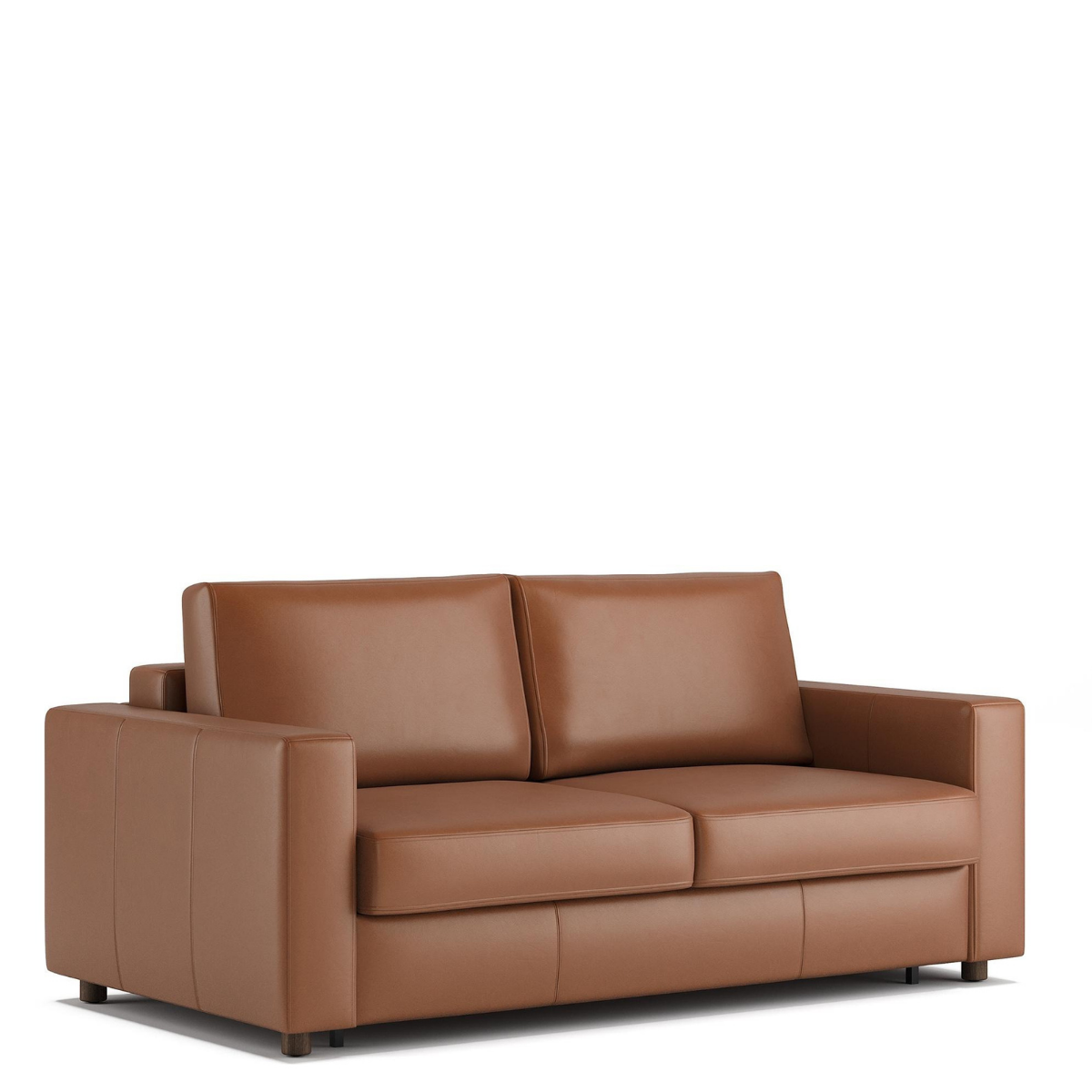 Neah Leather Sleeper Sofa