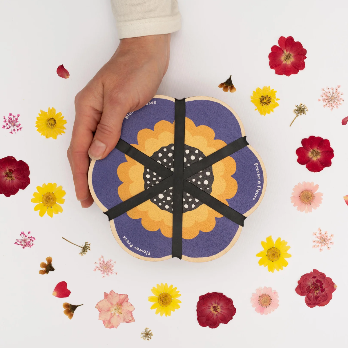 Flower Shaped Press - Blue - Thumbnail 2