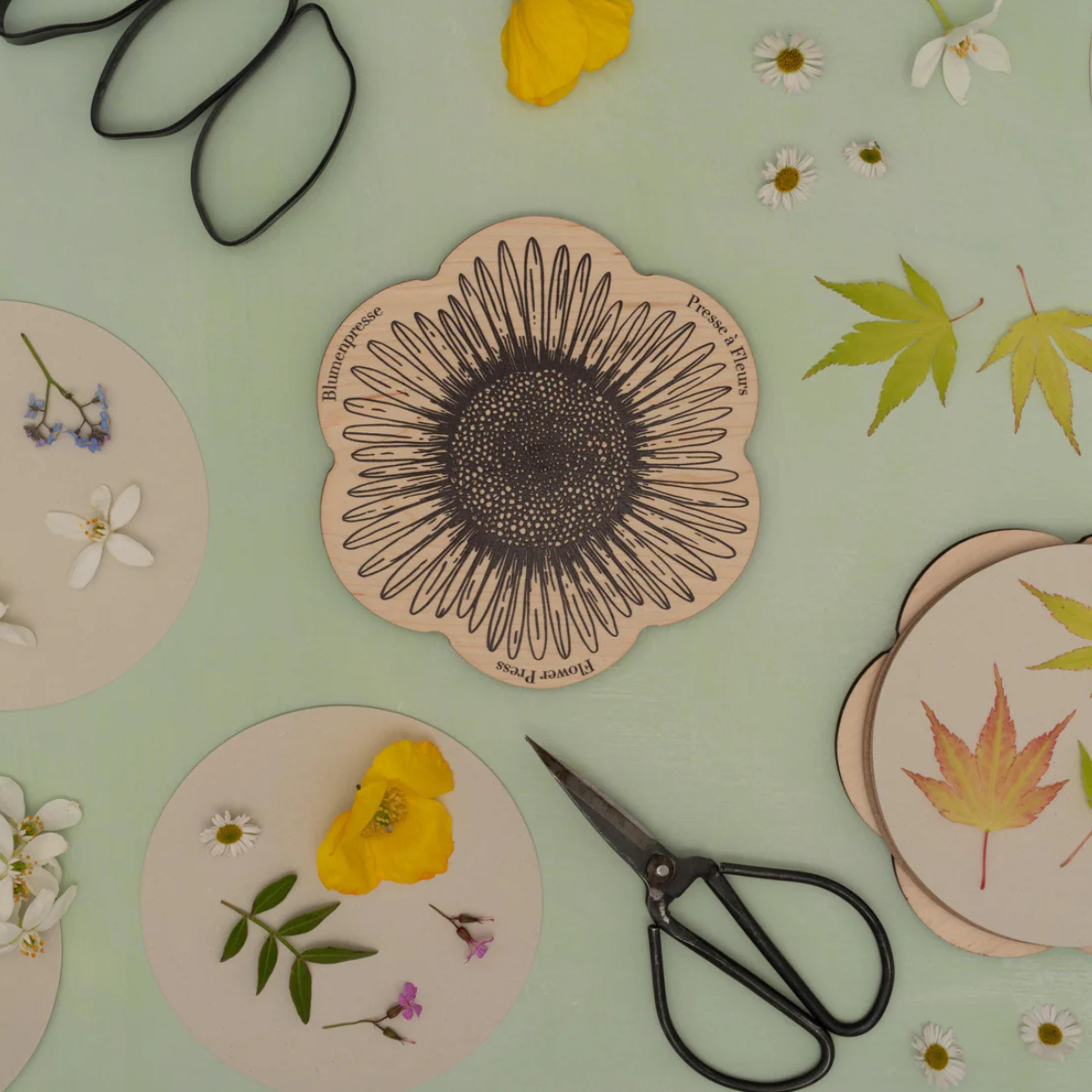 Flower Shaped Press - Daisy Line Drawing - Thumbnail 3