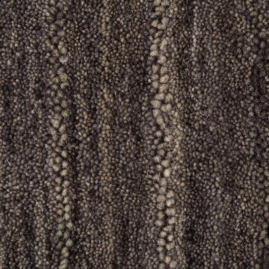 Catskill Wool Area Rug - Barred Owl by Earth Weave