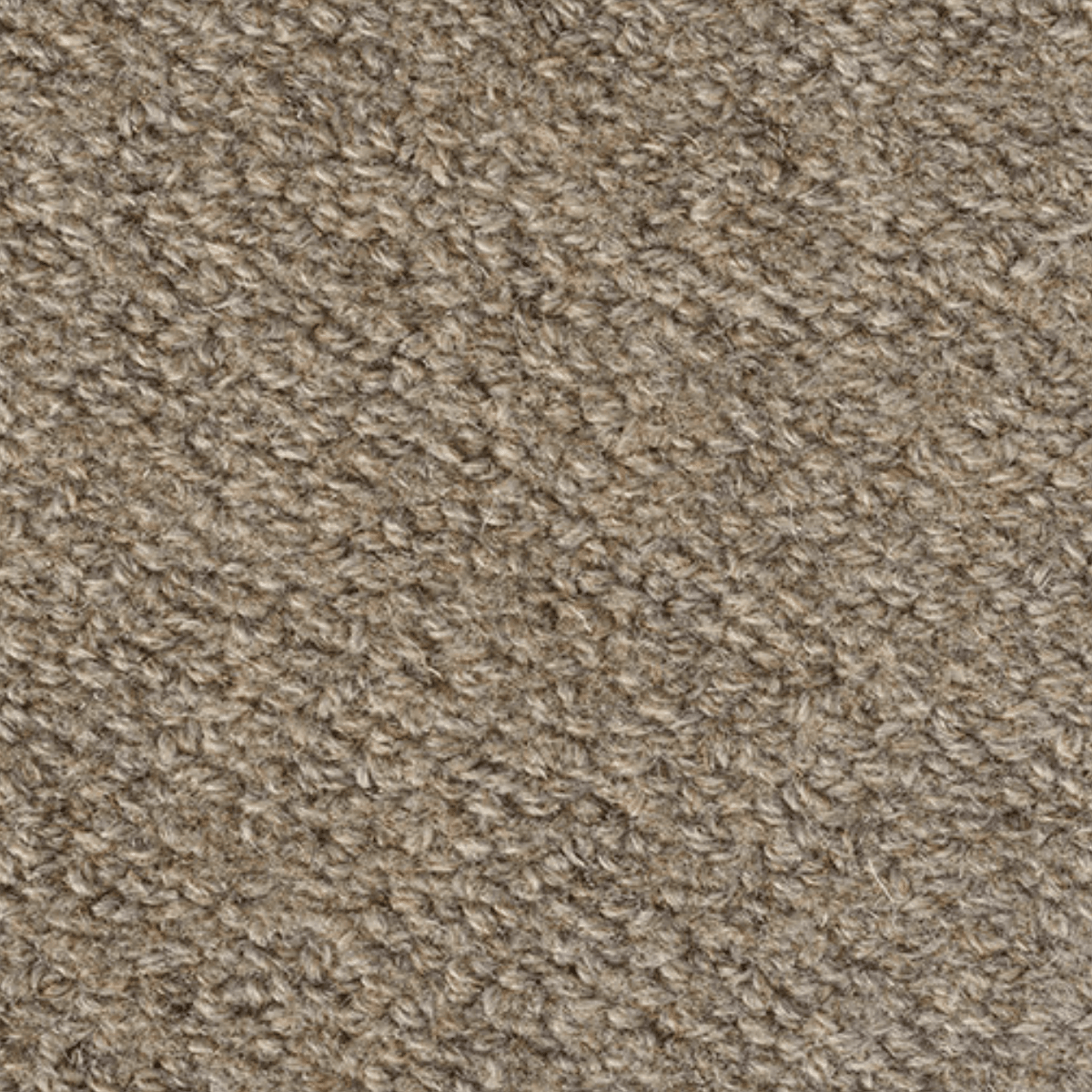 Rainier Wool Area Rug Samples | Earth Weave – Urban Natural Home